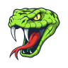 Viper Development